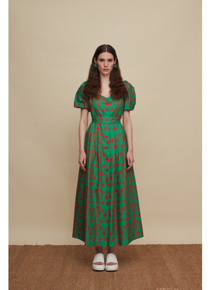 HERAKLEIO MAXI DRESS (PANDA GREEN PRINT)