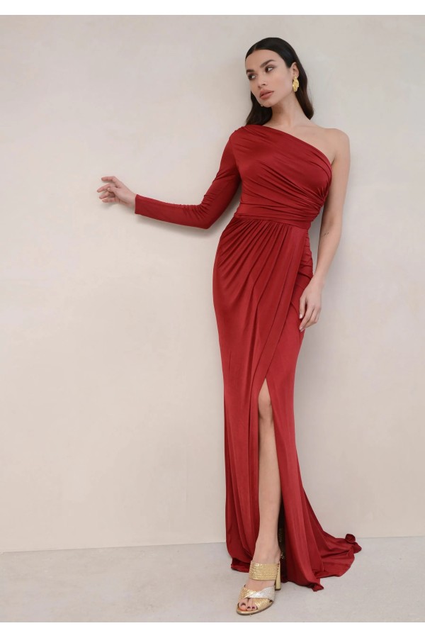 PARIS RED WINE DRESS